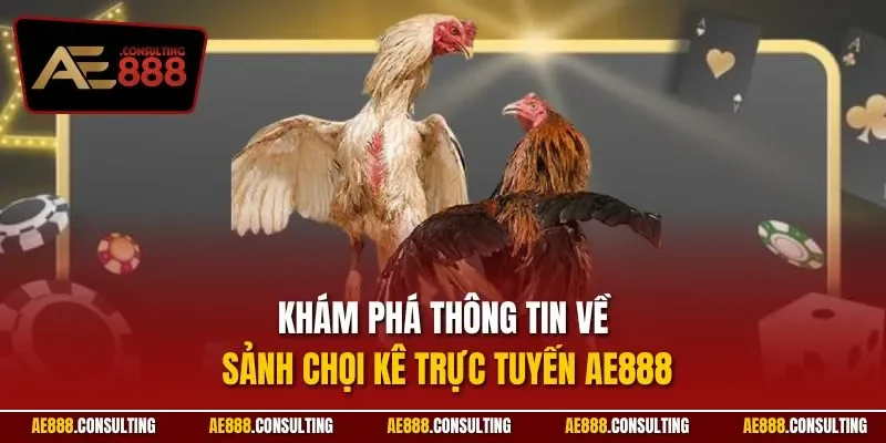 Khám phá thông tin về sảnh chọi kê trực tuyến AE888