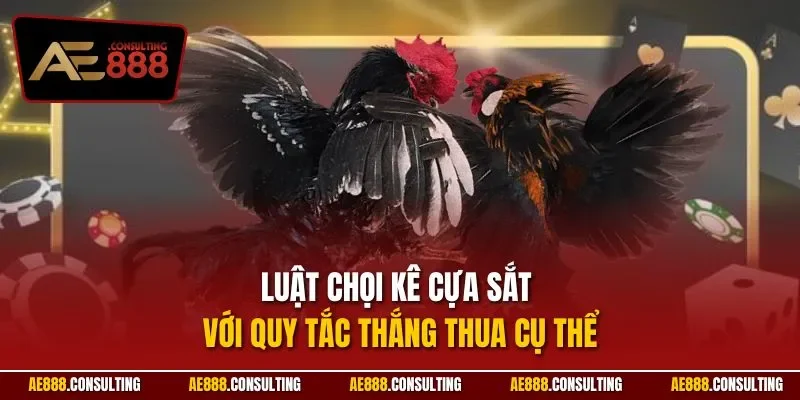 Luật chọi kê cựa sắt với quy tắc thắng thua cụ thể